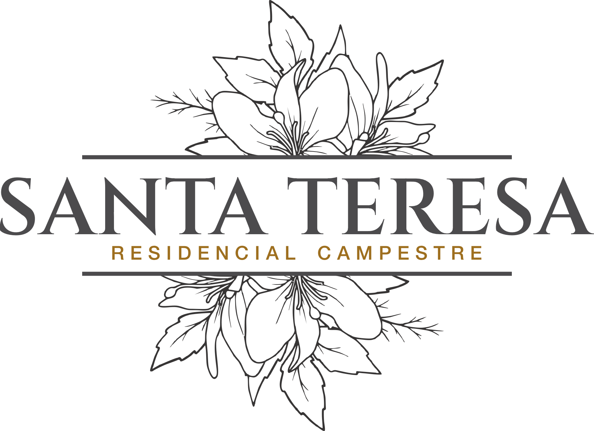 Logo Santa Teresa